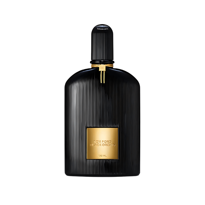 PACK DE 3 PERFUMES: BLACK ORCHID, NOIR EXTREME, PRADA INTENSE 100 ML